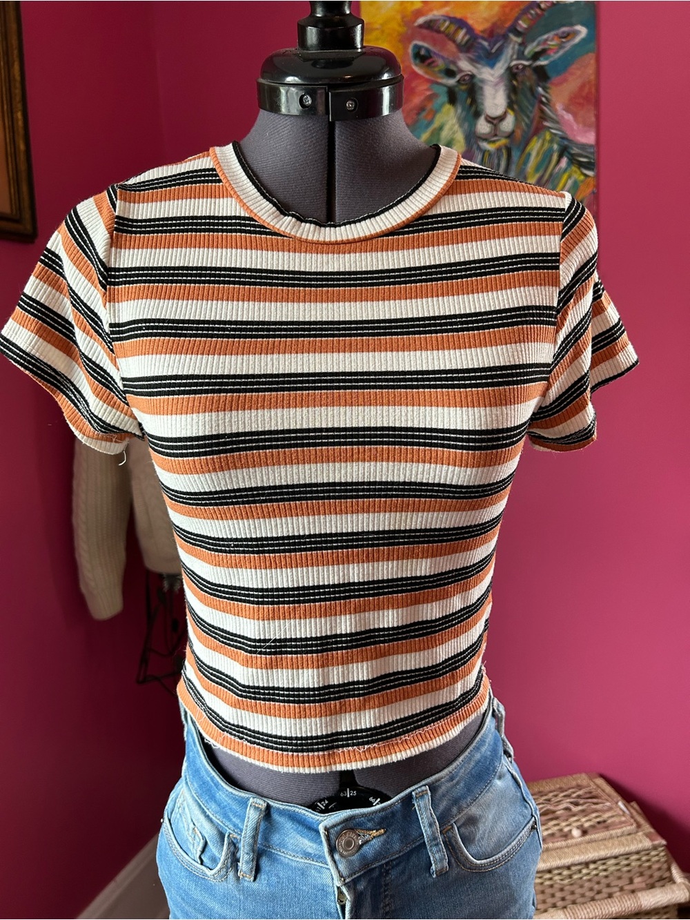 audrey Striped Ribbed Crop Top in Orange, Black & White